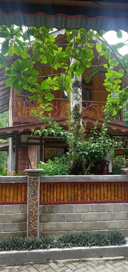 Eriono Guest House Bukit Lawang Exterior foto