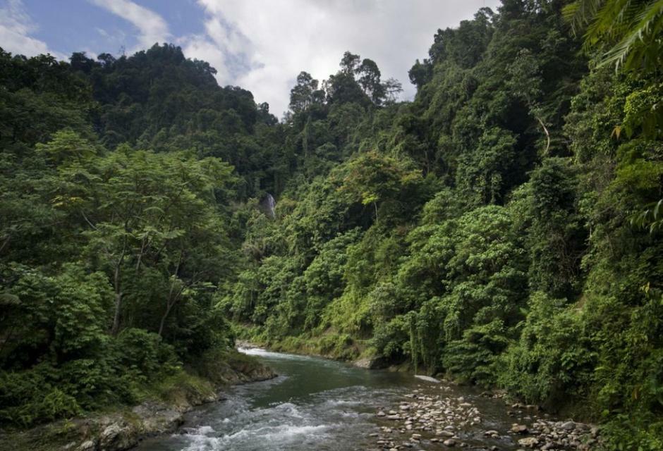 Eriono Guest House Bukit Lawang Exterior foto